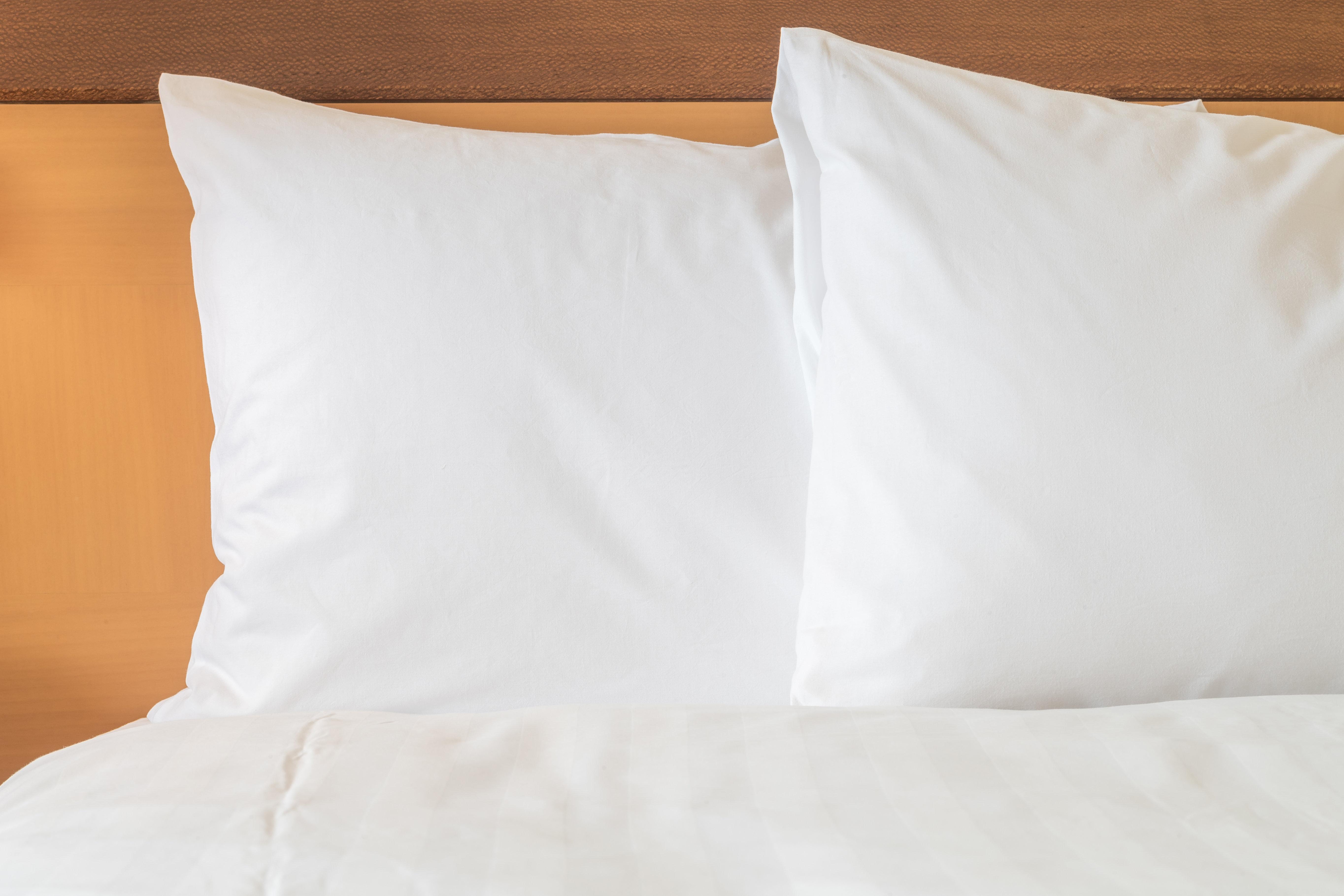 Holiday Inn Tampa Westshore - Airport Area By Ihg Eksteriør billede